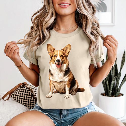 Pembroke welsh corgi - pembroke,