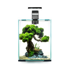 Aquael shrimp tank set - d&n,