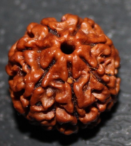 Nepalese seven saath mukhi - nepalese,
