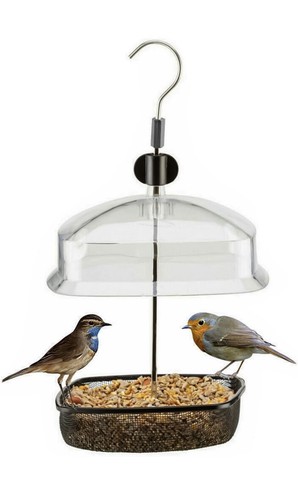 Hanging wild bird - bird, feeder