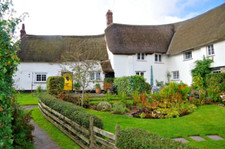 Devon Holiday Cottage. 