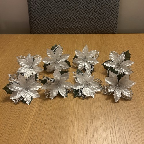 Christmas white poinsettia - white,