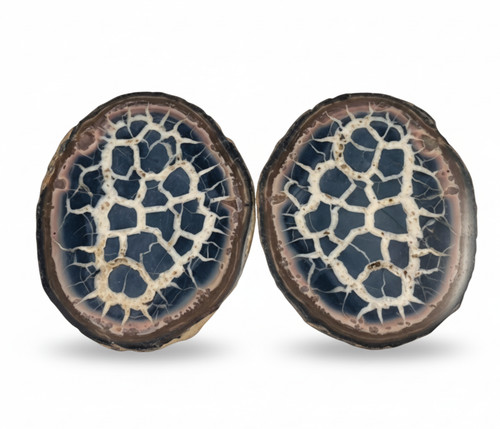 Rare septarian dragon stone - septarian,