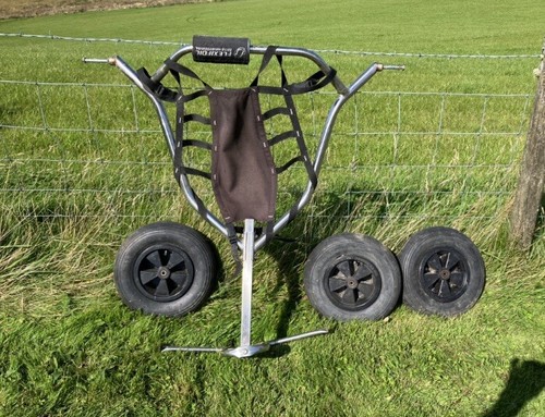 Flexi foil kite buggy - kite,