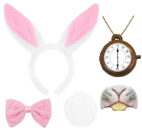 White rabbit fancy - rabbit, set