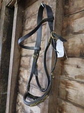Bit less Showing Bridle  New