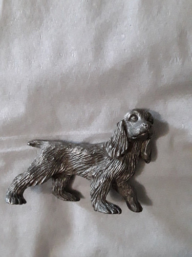 English springer spaniel - english,