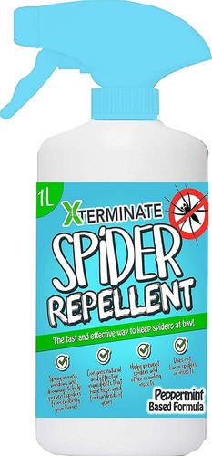 Xterminate spider repellent - spider,