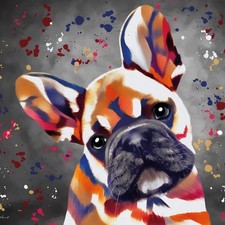 Colourful French Bulldog Greeting Card 16cm x 16cm Blank Inside Modern Design