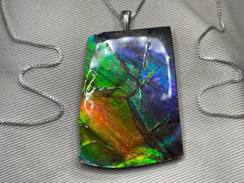 Large rainbow ammolite - large,
