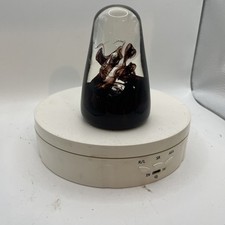 Caithness Colin Terris, 'Nova'