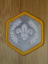 Current scouting chief - current, uk