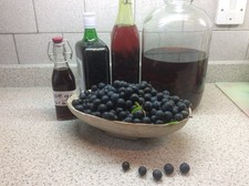 1lbof FROZEN DORSET SLOE