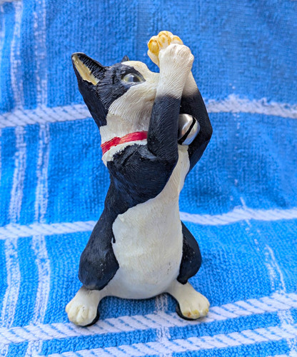 Vintage tuxedo cat - , with