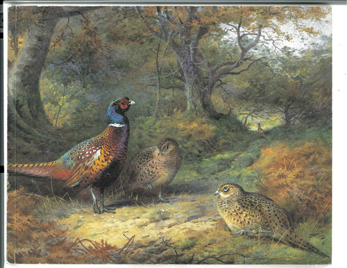 Exhibition work of - ,