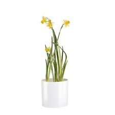 Cactus Plant Pot Round Plastic