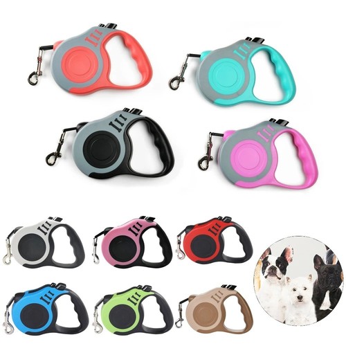 Retractable dog lead - dog,