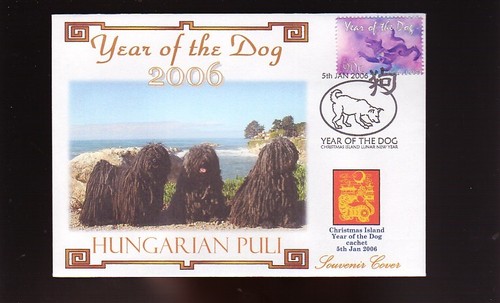 Hungarian puli 2006 - 2006, year