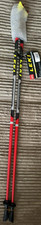 LEKI Nordic Walking Speed