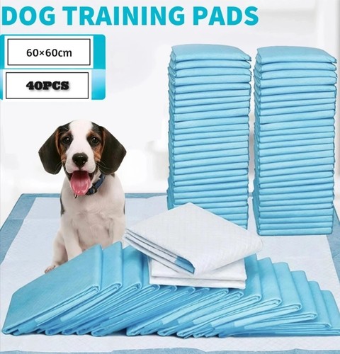 Puppy training pads - puppy,