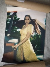 Lana Del Rey Blue Banisters UK