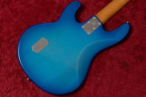 Ernie ball music man stingray - ernie,