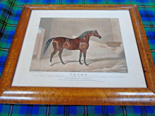 Original C 19th Framed Horse Racing Aquatint by C Hunt after JF Herring "TRAMP".