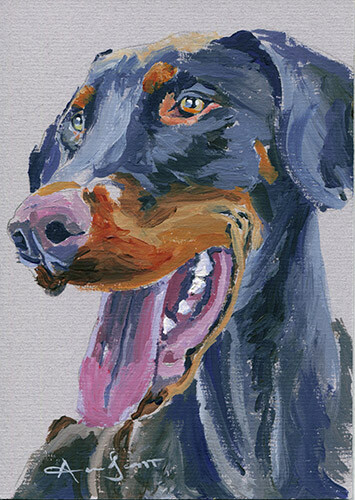 7x5 doberman pinscher - doberman,