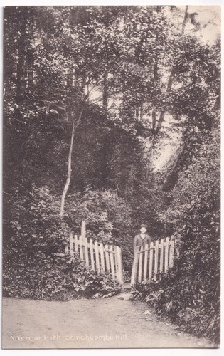 Stinchcombe hill dursley - hill,