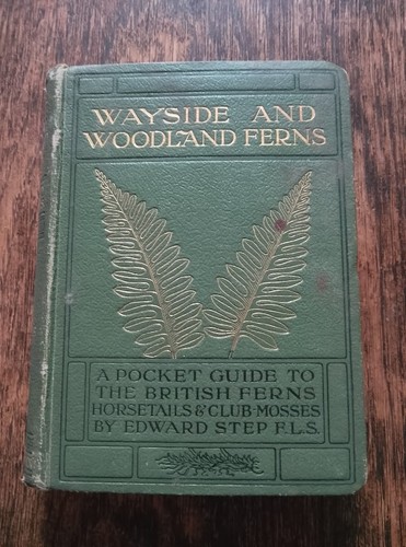 Wayside and woodland ferns - and,
