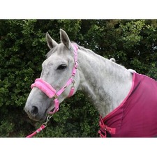 Ruggles Horse/Pony Head Collar