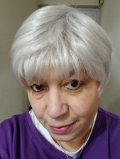 Raquel Welch Wig Signature