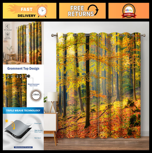 Autumn forest blackout - autumn,