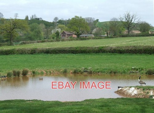 Photo pond and - pond,