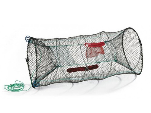 Crab shrimp crayfish - shrimp,