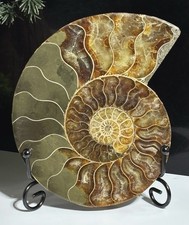 Large 123mm | 263g Crystal