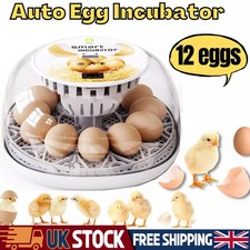 Digital 12 Egg Incubator