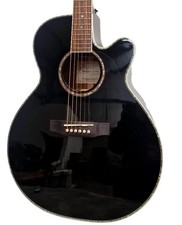 Takamine EG541DLX - Acoustic