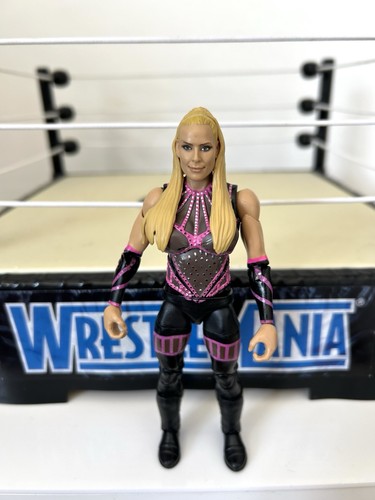 Wwe natalya wrestling figure - natalya,