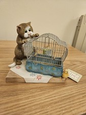 ' Hide and Seek' Comic Curious