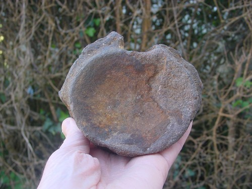 Rare large jurassic kimmeridge - jurassic,