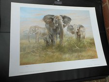 JOEL KIRK LARGE LIMITED EDITION PRINT ELEPHANTS VGC LOW POST 
