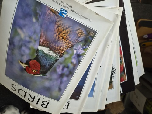 Rspb birds magazine volume 13 - rspb,