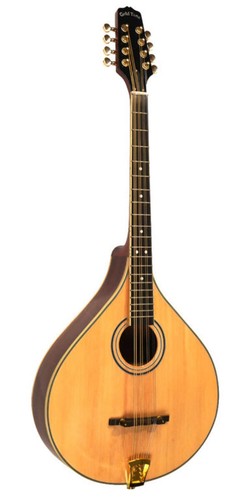 Gold tone octave mandolin - gold,