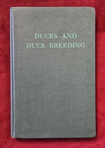 Vintage book ducks - ducks, and