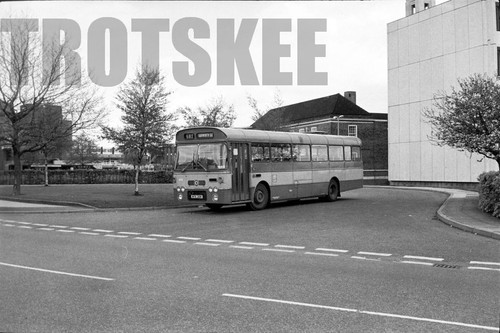 35mm black and white negative - and,