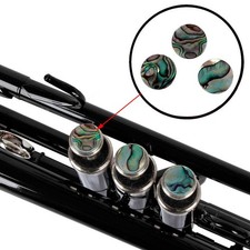 3pcs Abalone Shell Trumpet