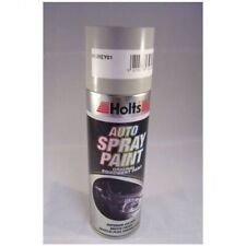 Holts Professional Car Grey Gloss Spray Paint 300ml   HGREY01