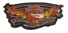 Harley Davidson eagle fire