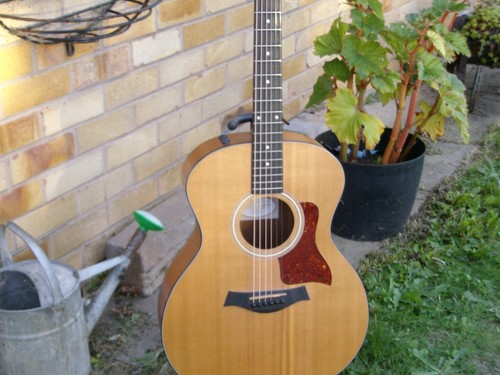 Taylor 114e electro - taylor,